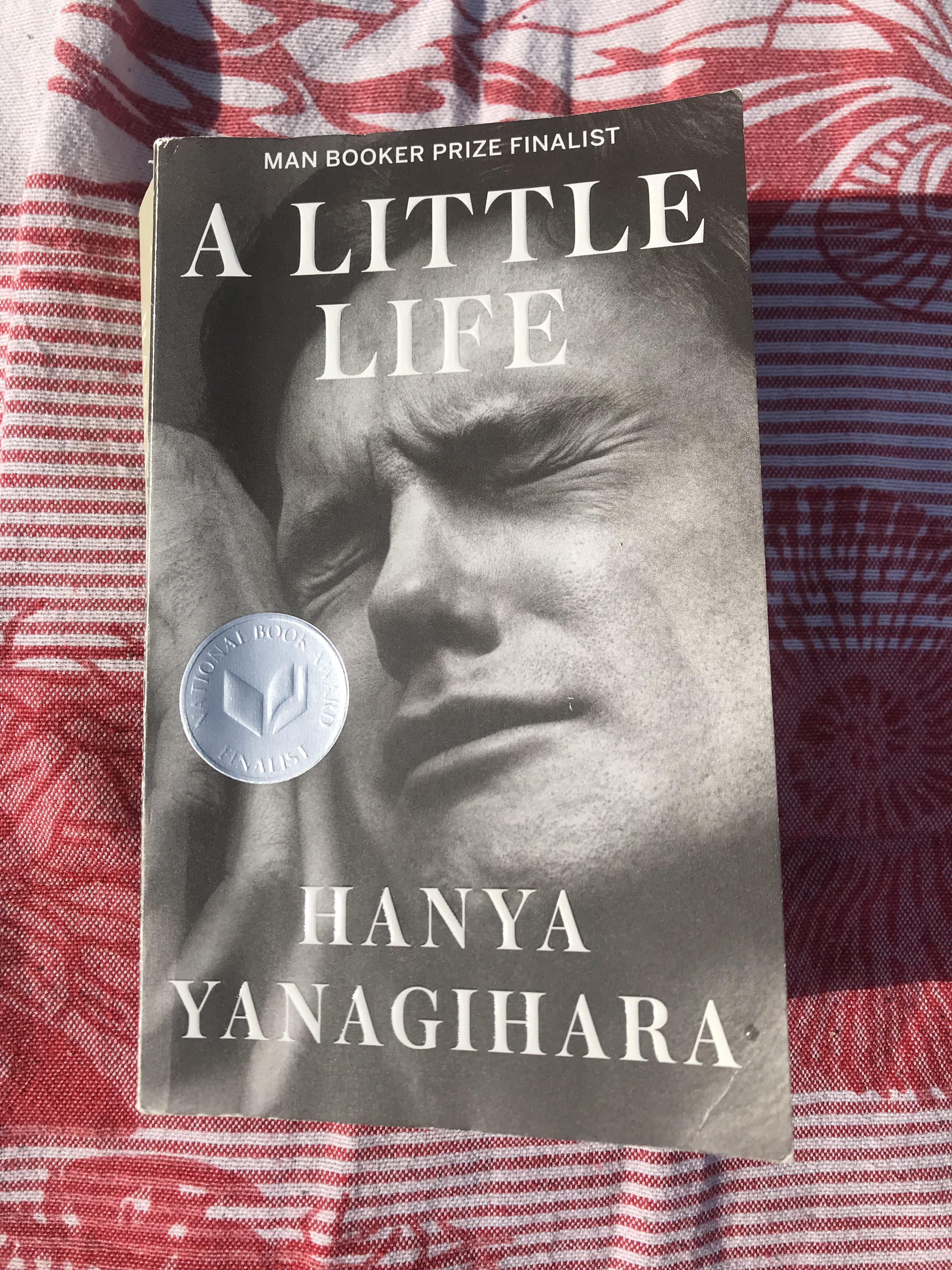 Little life - book cover